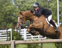 Vignette - Équestre - Magnifique château avec installations équestres de très haut niveau