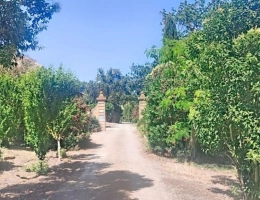 Vignette - Agricultural - Prestigious wine and tourist estate – 63 ha – Near the Mediterranean