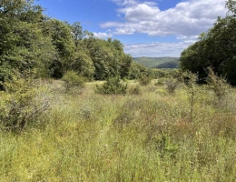 Vignette - Prestige - Propriété