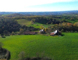 Vignette - Equestrian - House