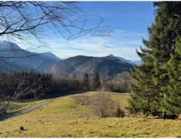 Vignette - Agricole - Terrain à vendre  ARACHES LA FRASSE (74)