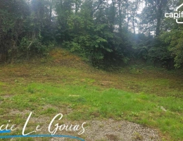 Vignette - Rurale - Terrain de loisir ou à bâtir de 595m² à Longuyon