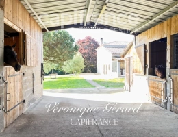 Vignette - Equestrian - EQUESTRIAN PROPERTY ON MORE THAN 10 HECTARES