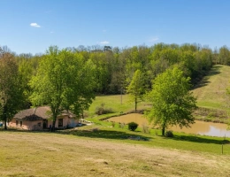 Vignette - Équestre - Maison