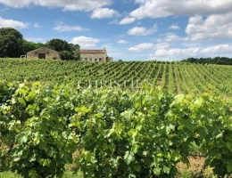 Vignette - Viticole - Propriété viticole d'agrément - Œnotourisme - proche Bordeaux