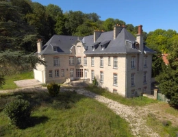 Vignette - Prestigious - 14-room property for sale in MERY PREMECY (51)