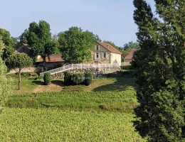 Vignette - Vineyard - Wine estate for sale - satellite of Saint-Émilion, approx. 17 ha