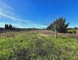 Vignette - Rurale - Terrain de loisirs de 2600m² à vendre à COLLIAS (30) - Environnement naturel privilégié