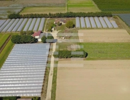 Vignette - Agricultural - Horticole / Maraîchage