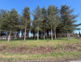 Vignette - Rurale - Terrain à vendre de 3 000,00 m² TIERCE (49)