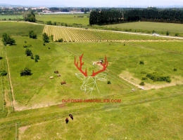 Vignette - Équestre - Propriété équestre dexception au coeur du Gard, entre Cévennes et Provence (30)