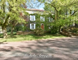 Vignette - Prestige - Dpt Lot et Garonne (47), à vendre PINEL HAUTERIVE propriete P6 de 240 m² - Terrain de 21 912,00 m²