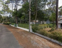 Vignette - Forestière - Terrain