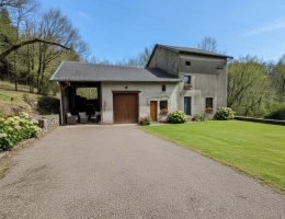 Vignette - Equestrian - Property for sale with renovated 4-bedroom farmhouse near the Epinal/Xertigny road (88) on approxima