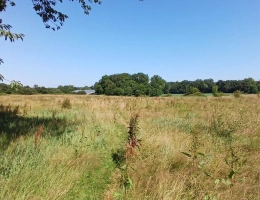 Vignette - Équestre - Maison