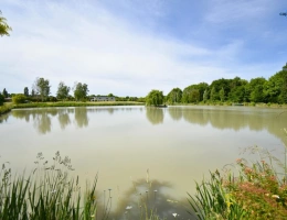 Vignette - Prestige - Propriete à vendre 11 pièces VERNOU EN SOLOGNE (41)