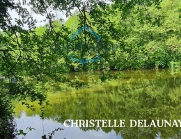 Vignette - Forestière - ETANG  à Craon