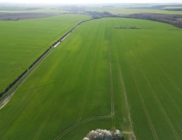 Vignette - Agricole - Exploitation céréalière d'un seul tenant  sur 186 hectares