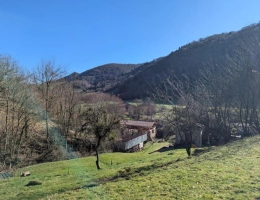 Vignette - Rural - House