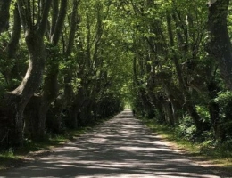Vignette - Touristique - Domaine