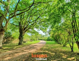 Vignette - Touristique - Maison d'hôtes et gîtes à 20min de Chambord