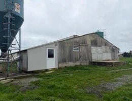 Vignette - Agricole - Exploitation Avicole au Nord des Côtes d'Armor