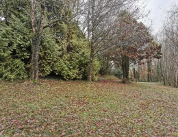 Vignette - Rurale - Etang et forêt