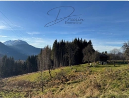 Vignette - Agricultural - Ensemble de parcelles agricoles ARACHES LA FRASSE (74)