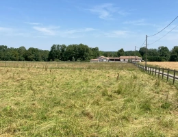 Vignette - Équestre - Ecurie d'entrainement avec plusieurs habitations