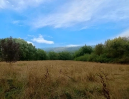 Vignette - Agricole - Terrain agricole