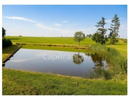 Vignette - Rurale - Etang : un coin de paradis rien qu’à vous…