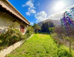 Vignette - Touristique - SAGONE (Corse) : Propriete à vendre, maison T4 + dépendance avec 2 appartements T1, sur terrain plat de 5000m2