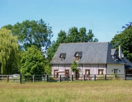Vignette - Équestre - Normandie Pays d’Auge