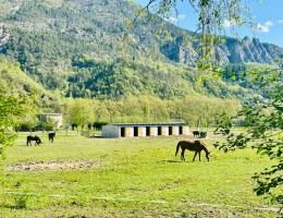 Vignette - Equestrian - Propriété équestre 7 ha plats – Villa + appartement – 16 boxes – À 45 min de Nice