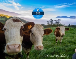 Vignette - Agricultural - Bâtiment agricole à vendre à ANTULLY (71)