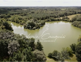 Vignette - Forest - 185-hectare hunting and leisure estate in Sologne