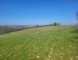 Vignette - Agricole - Terrain agricole
