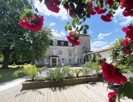 Vignette - Prestigious - Château + Guesthouse with Profitable Hospitality Business – Near Cognac
