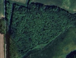 Vignette - Forestière - Terrain à vendre  ORSENNES (36)