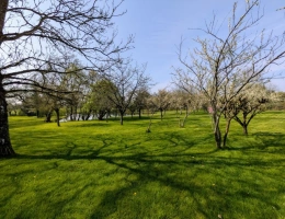 Vignette - Rurale - Terrain de loisir - Maulévrier (49)