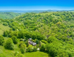 Vignette - Rural - Character property