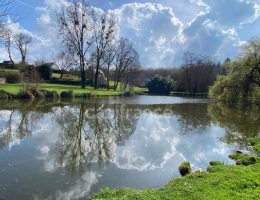 Vignette - Rurale - Un écrin de nature rare, entre étang et ruisseau, en plein cœur d’Elven et sans vis à vis