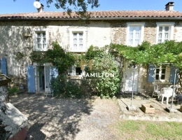 Vignette - Equestrian - Farmhouse