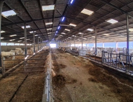 Vignette - Agricole - ALLIER