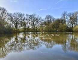 Vignette - Forestière - Propriété de Chasse ou d'Agrément de 39 hectares