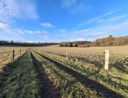 Vignette - Équestre - Domaine Équestre d'Exception destinée au bien etre équin s