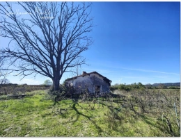 Vignette - Agricultural - 6 hectares of agricultural land for sale - CAUX (34720)