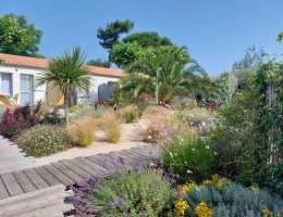 Vignette - Touristique - EXCLU CAPIFRANCE A Vendre ILE D'OLERON (17) en coeur village - Résidence para-hôtelière 11 meublés 3* proche plage