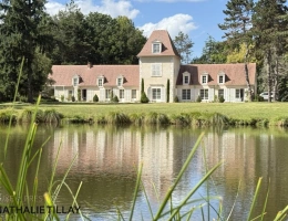 Vignette - Prestige - Plateau de Sologne, propriété d'agrément a vendre : Parc de 33 ha, piscine, tennis, biotope Solognot: bois, foret , prairies , étangs , petite chasse et peche. Proche Orleans
