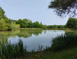 Vignette - Forestière - Propriété à vocation cynégétique à quelques kilomètres du coeur de la Brenne